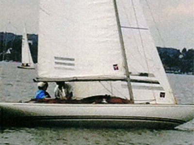 Drachen GER916